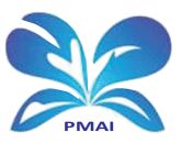PMAI project